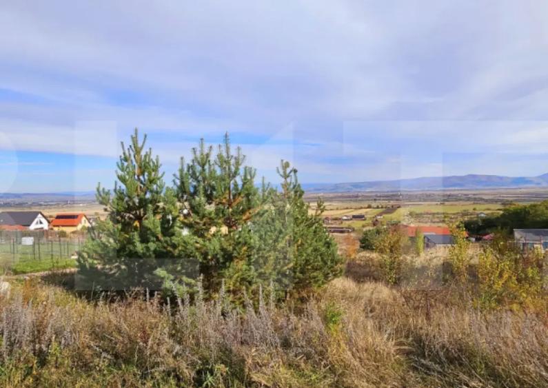 Casa de vanzare, sub padure, intr-un cadru natural deoseb - 11