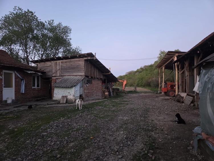 Vand casa la sat - 4