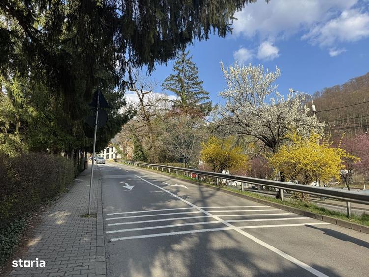 Teren cu potential investitional Sovata, zona Lacul Ursu - 12