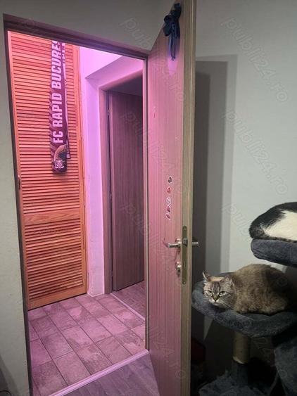 Apartament 3 camere Vanzare Drumul Taberei - 3