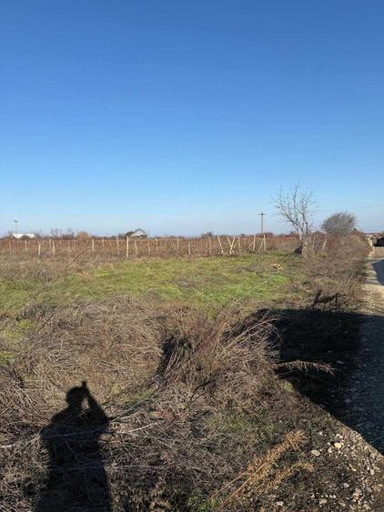 Vand Teren 3.704 mp cu proiect hale Odobesti, jud. Vrancea - 2
