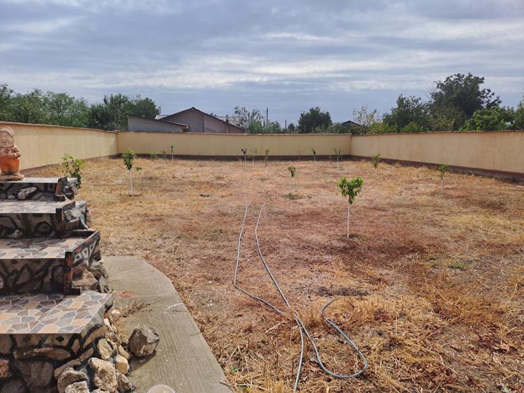 Oltenita - Soldanu, singur curte, complet mobilata si utilata - 14