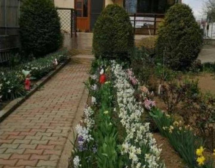 Vila D+P+1 zona km 4-5 - 16