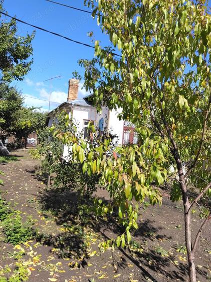 Casa boiereasca de vanzare - 1