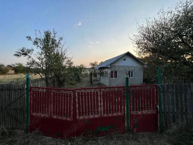 Casa de vanzare olt spineni