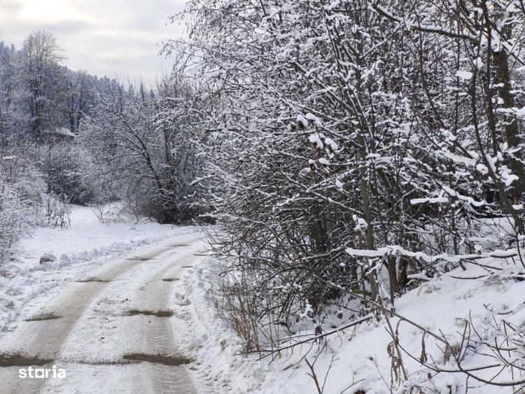 Teren intravilan, 22600mp, zona Manastirea Sucevita - 4