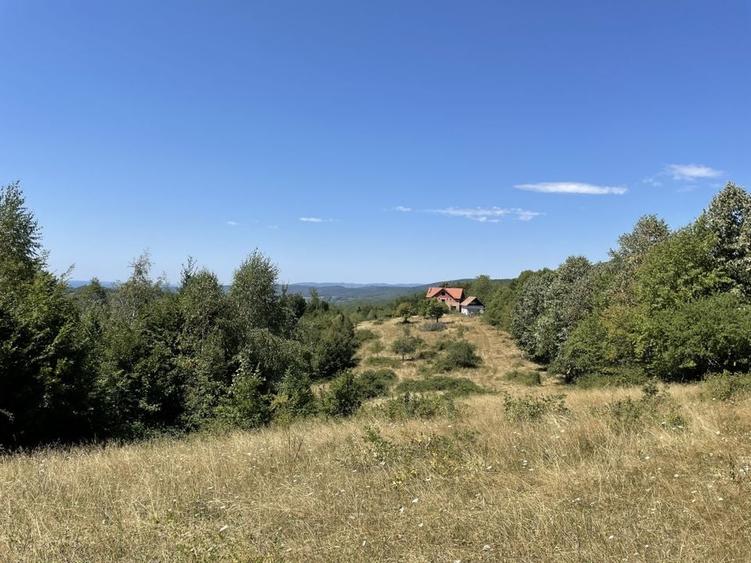 Teren Extravilan &icirc;n mijlocul naturii. - 9