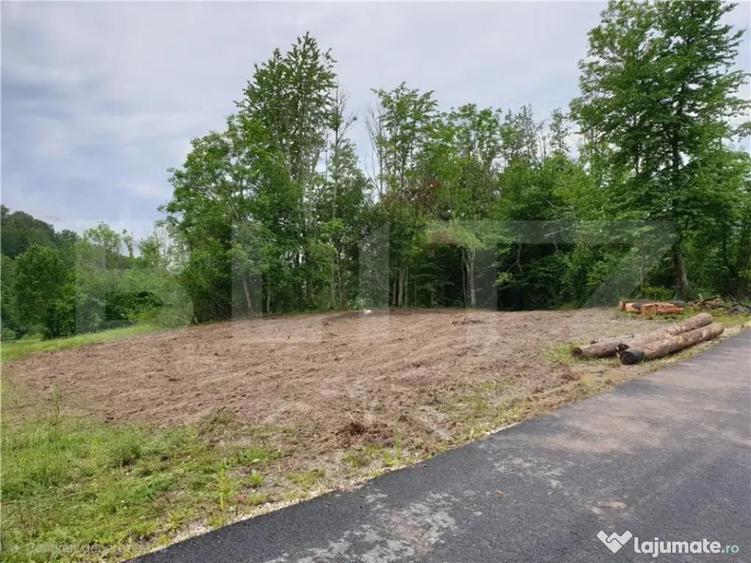 Teren intravilan 923 mp, Bucium, Alba - 2