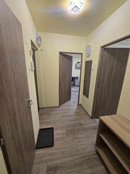 3 camere Iancului - Ferdinand-Dimitrov - 17