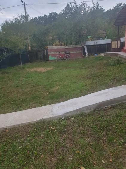Casa de vanzare in sat Iliesti, com.Ionesti, jud.Gorj - 9