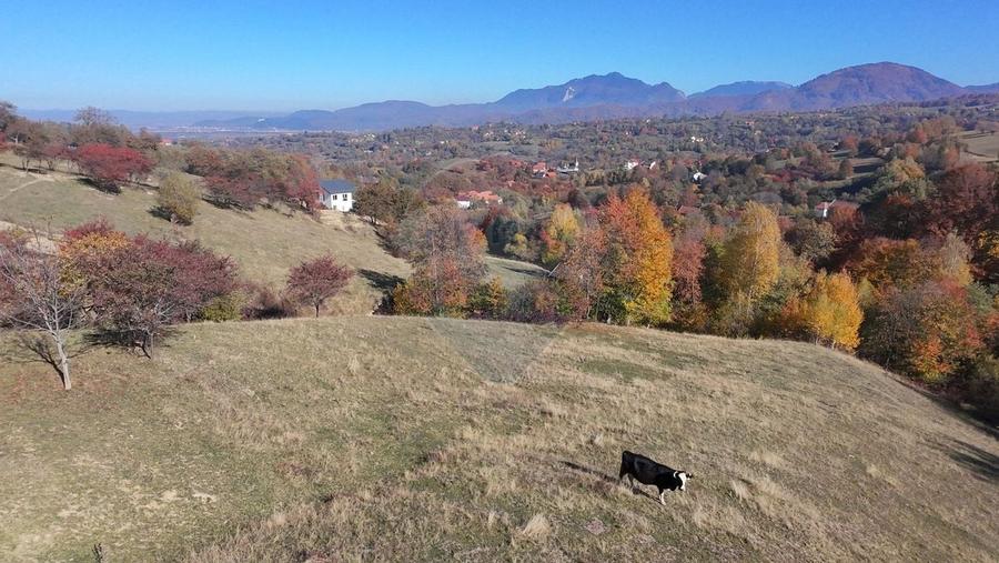 Teren 2,500mp Bran / Strada Bradul Inalt - 5