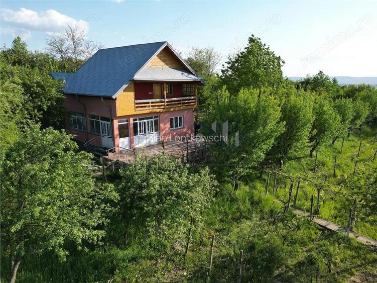 Pietrarie Vila P+1 s=164mp garaj beci teren 2000mp livada vie zona verde