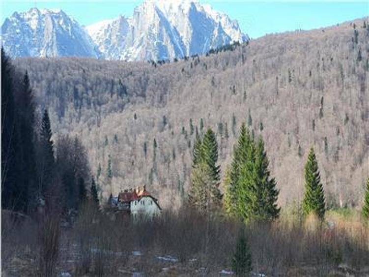 De vanzare teren intravilan AZUGA - 2