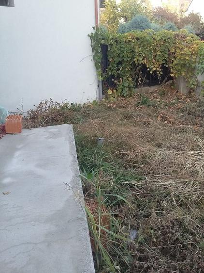 Spatiu stradal in vila Mihai Bravu | Piata Muncii 300mp sector 2 pentru stomatol - 8