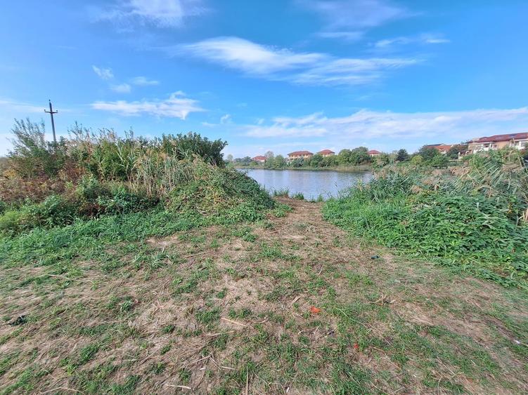 Teren intravilan Mogosoaia- 7 Loturi-Suprafata totala 5180 mp-Deschidere Lac - 3