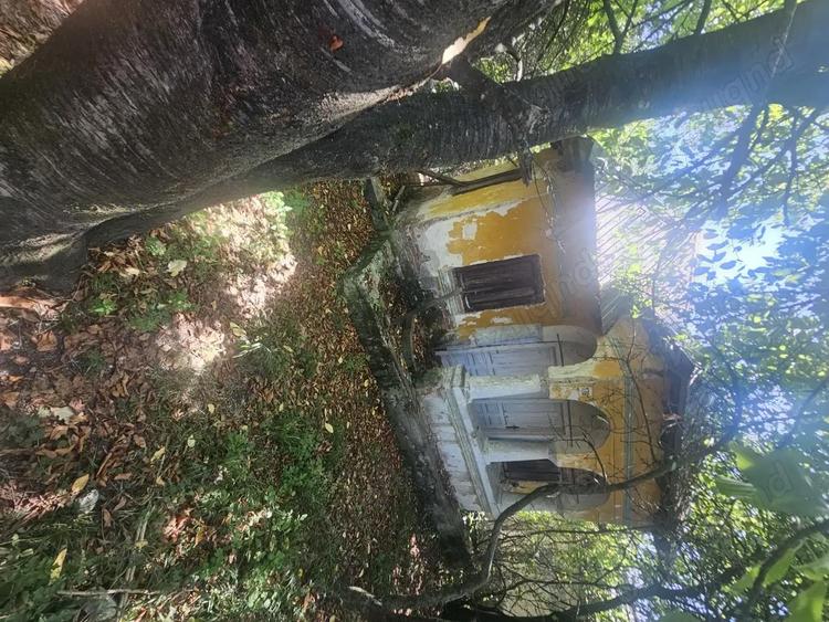 Teren de 1113 mp si casa batraneasca in comuna Mihaesti jude?ul Valcea - 9