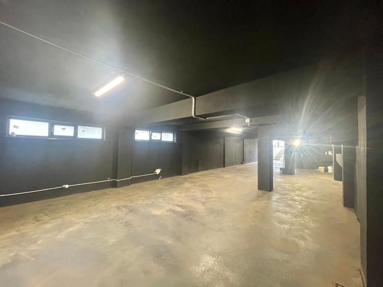 Spațiu industrial  – Zona Victoriei – Str. Teodosie Rudeanu nr. 41, - 5