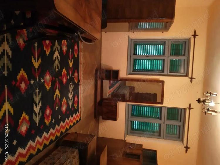 Locuin?a ideala pentru via?a rurala sau turism Dane?, Mure? - 2