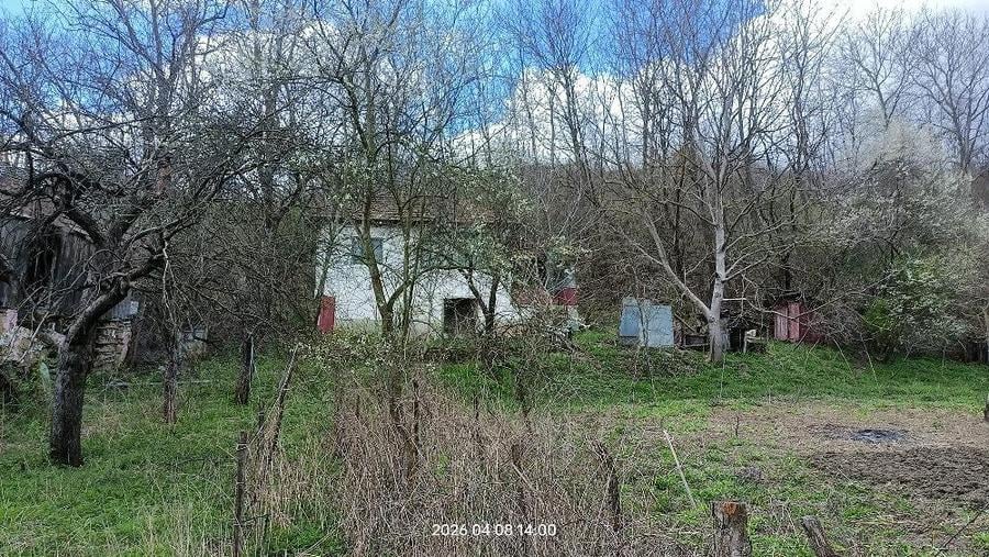 Vand casa Bozioru teren 3600 mp - 1