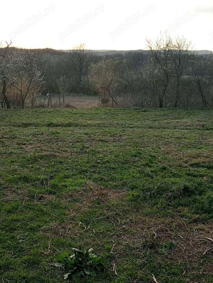 Casa si teren de vanzare - 1