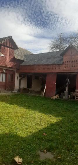 Casa cu curte mare ?i vie pe spalieri - 4