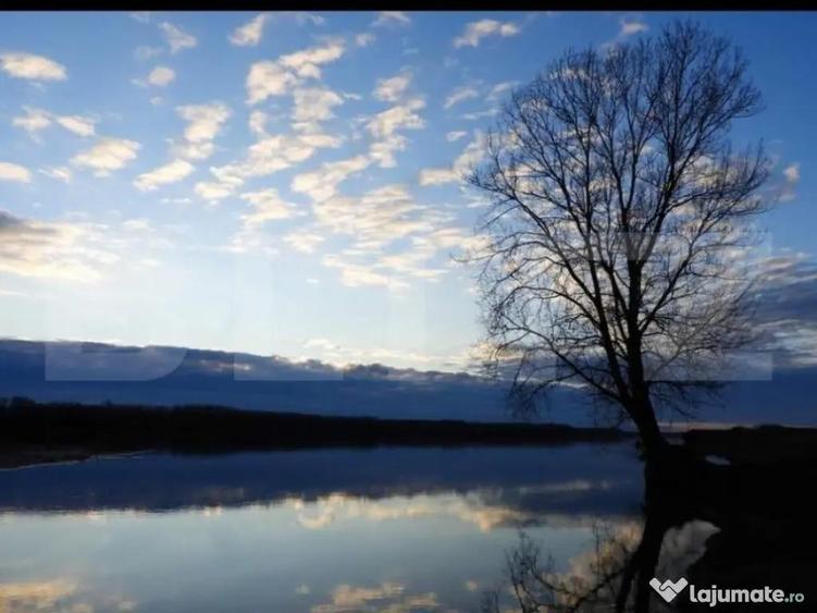 Teren, 120000mp, Insula Calinovat, Moldova Noua - 2