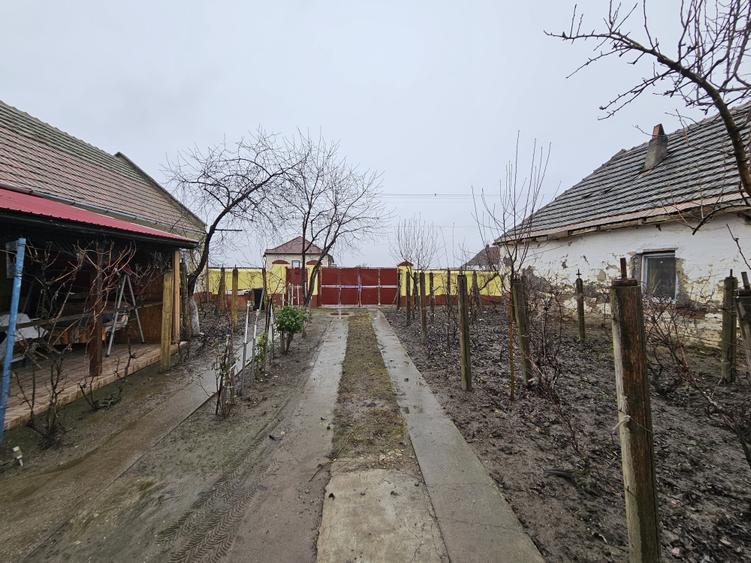 Casă individuală, cu 3 camere, în localitatea Ivanda, la 30 km de Timișoara - 18