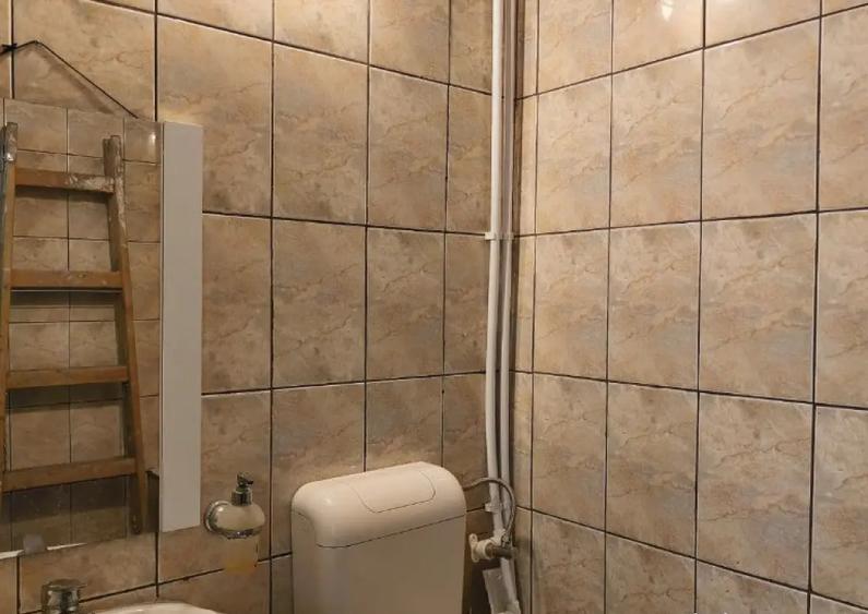 Spatiu comercial in Deva, zona Liliacului - 5