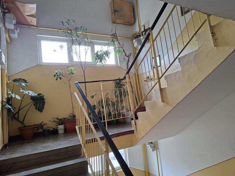 4 camere Banat , Decomandat / Centrală , Amplasament DEOSEBIT - 13