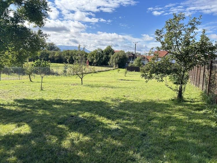 Grădina din Cetate – Un Colț de Istorie și Natură, Doar al Tău - 14