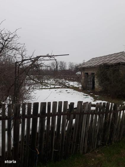 Vand Teren construibil + Arabil Sintesti Ilfov - 1