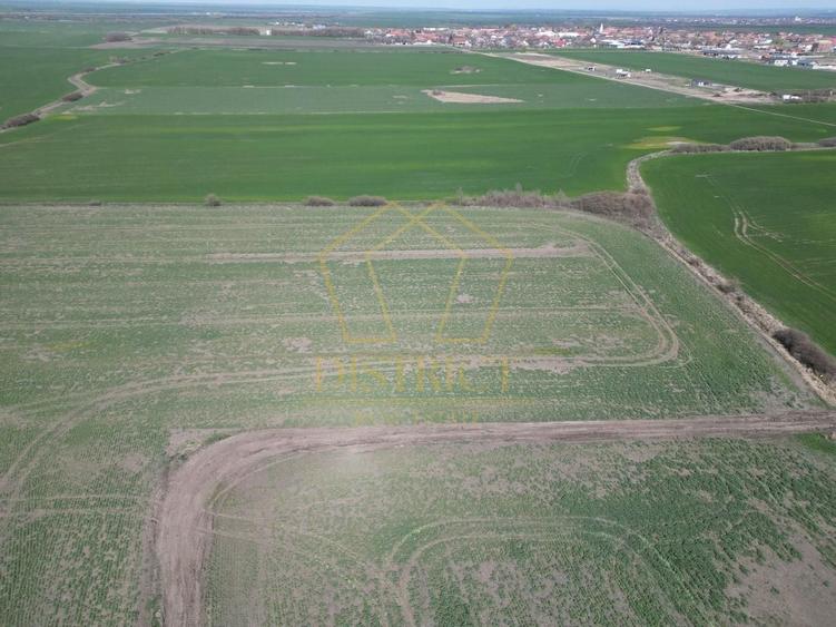 Teren industrial de vânzare Covaci | 14.000 mp | Viitoare centura Covaci - 4