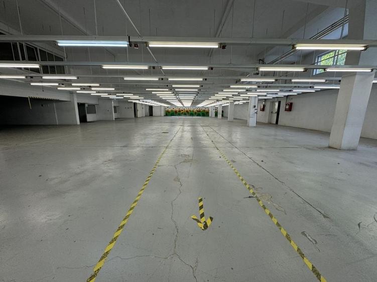 Hala productie P+1 si apartament de serviciu Navodari - c-tie beton - 6