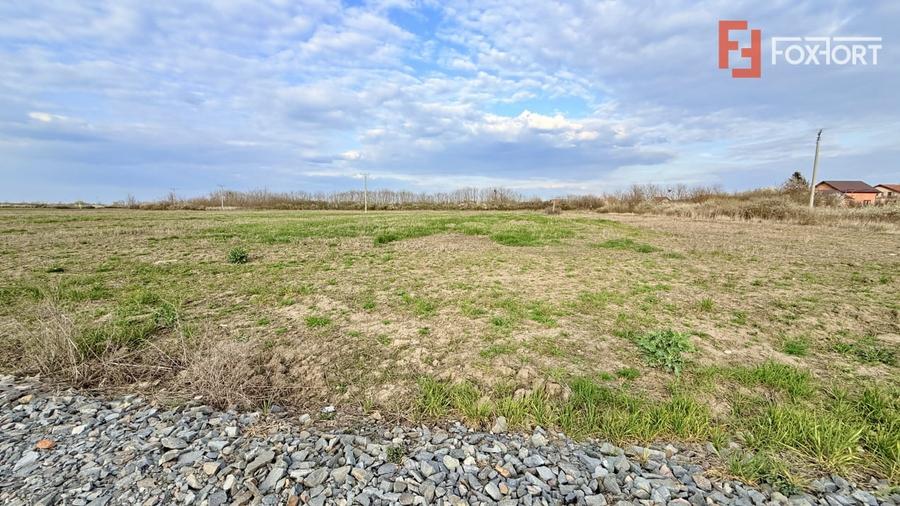 Parcele de teren, intre 502 si 622 mp cu utilitati - Bucovat - 3