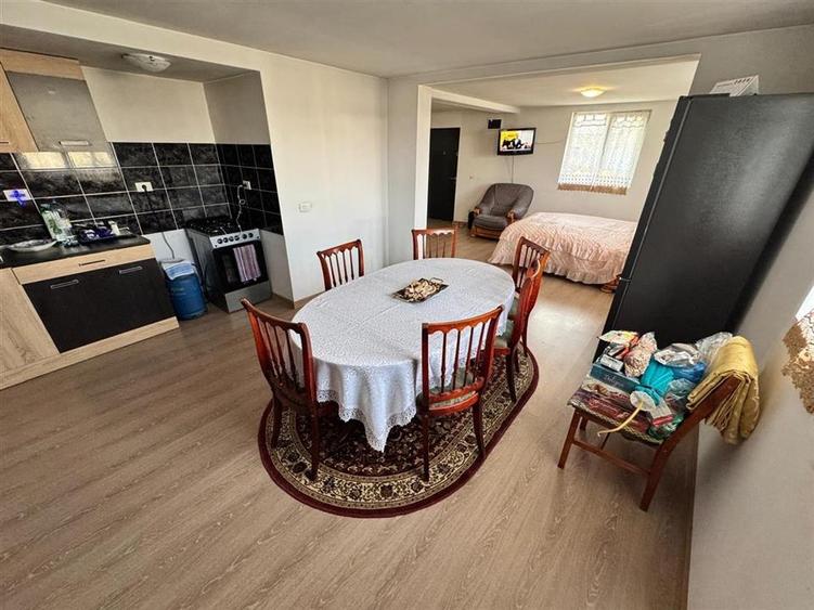 CASA DE VANZARE PANCIU - 13