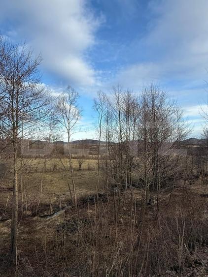 CABANĂ PREMIUM LA MUNTE | 123 MP | 2.200 MP TEREN | PRIVELIȘTE SUPERBĂ - 13