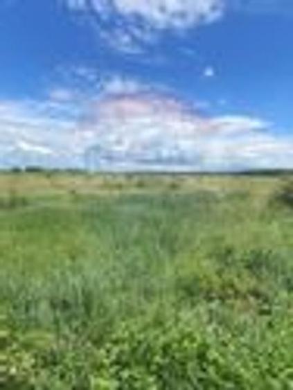 DE VANZARE Teren intravilan 600mp Drumul Piscul Mosului SISESTI - 21