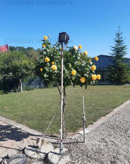 Vila P M 2014, Varsatura 160mp construiti, teren=1000mp - 1