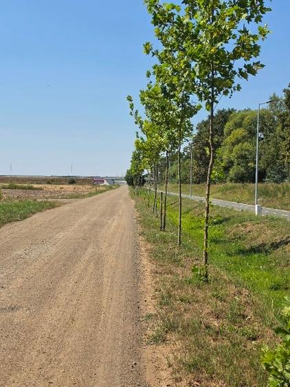 Teren Construcții intravilan de 605 mp, în Ghiroda