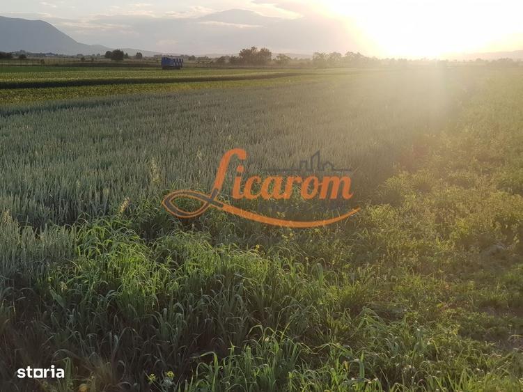 Teren intravilan Stupini front la Calea Feldioarei, DN 13 - 5