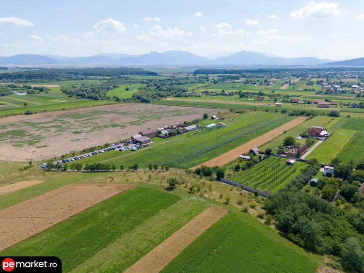 Proprietate specială, de 1,120 mp, în Podu Oltului