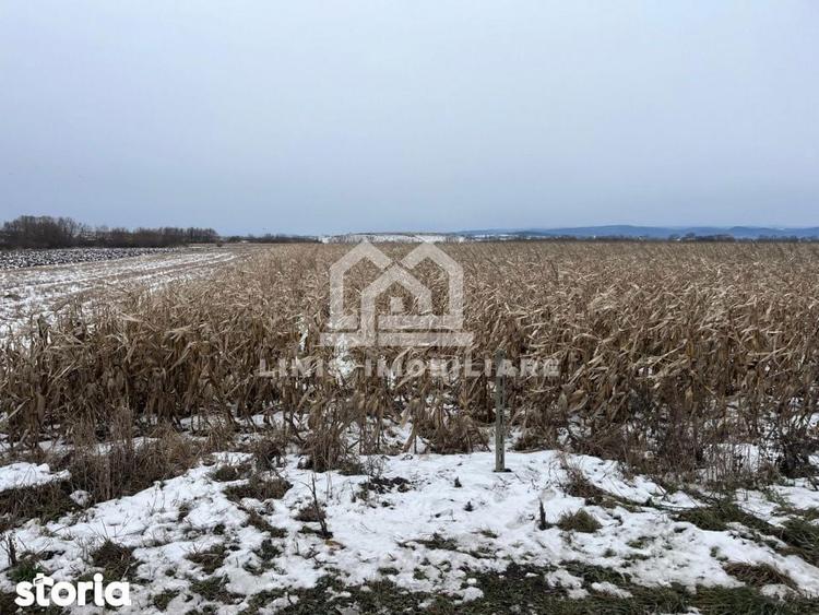 Teren de 4400 mp, în Central