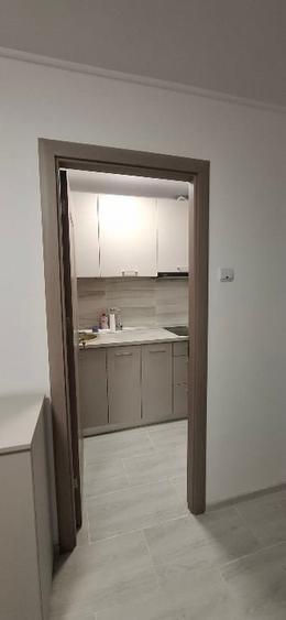 Garsoniera RENOVATA de vanzare Parcul Drumul Taberei - 5