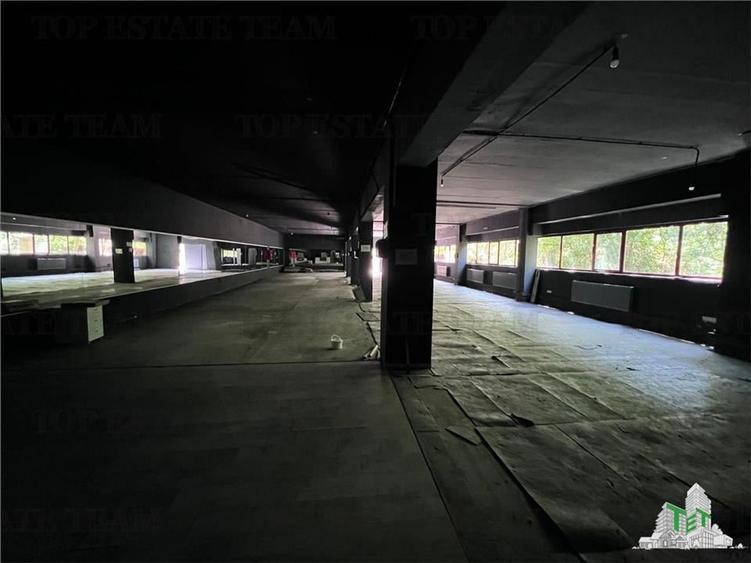 De inchiriat spatii comerciale, hale si birouri - 4