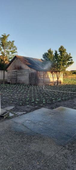 Casa de vanzare comuna Socodor - 2