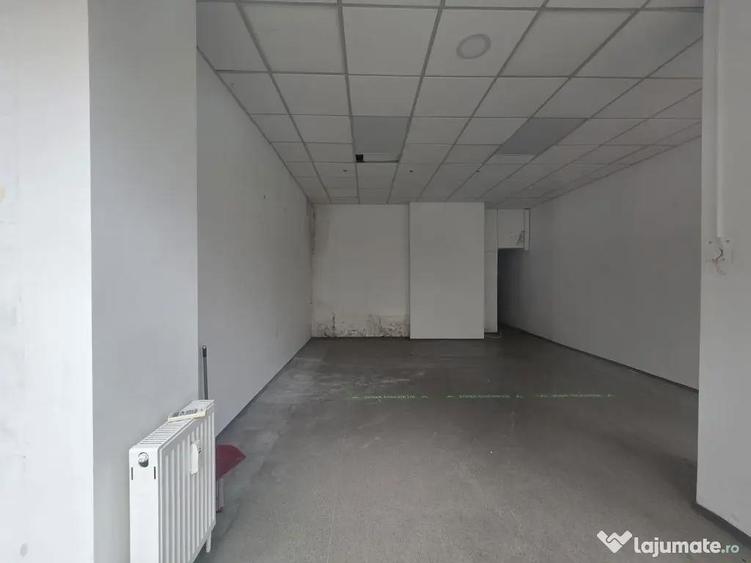 Zona Vitan sp 57 mp trafic intens - 2