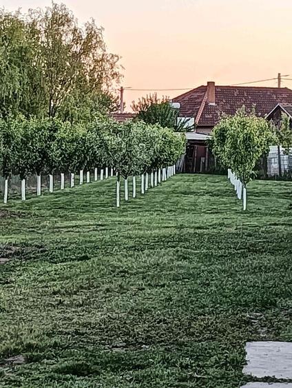 Casa de vanzare sau schimb - 1