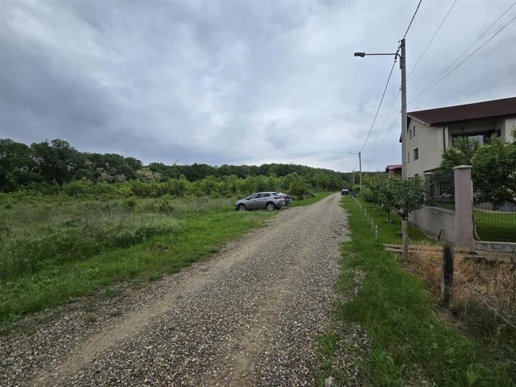 Teren intravilan Balotesti 9782mp 96ml deschidere langa padure - 4