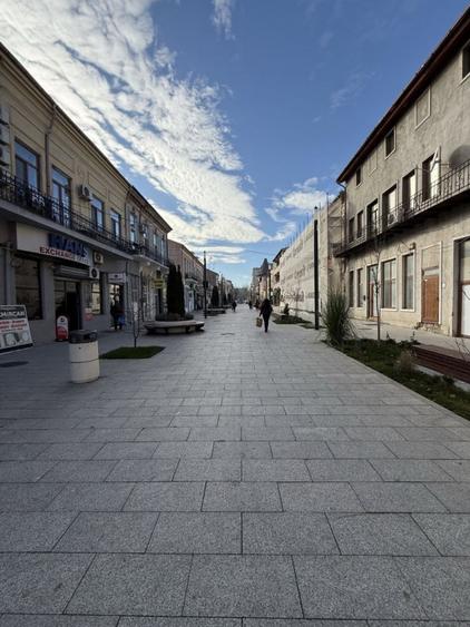 Ultracentral - artera intens circulata, SPATIU COMERCIAL, 165 mp. - 7