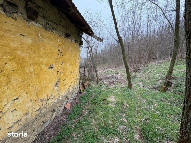 Teren 2.038 mp + Casa 50 mp de vanzare Sat Luncsoru, Com. Ghercest - 12